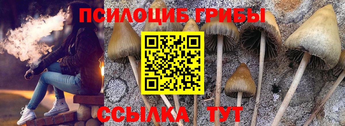 Галлюциногенные грибы GOLDEN TEACHER Соль-Илецк