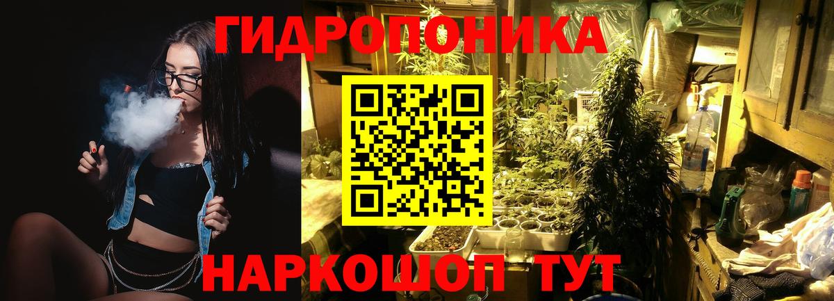 Бошки Шишки план Соль-Илецк